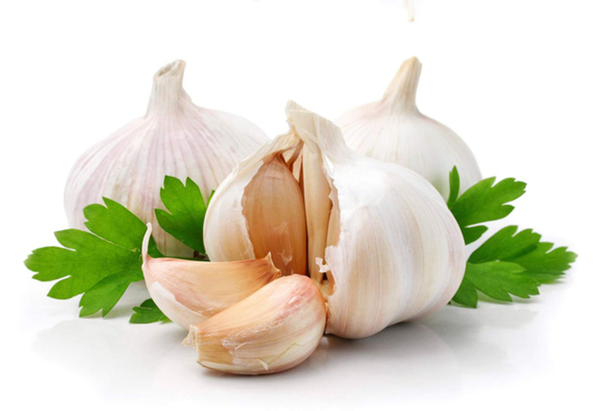 ayatmadari sir garlic 6